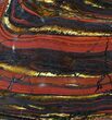 Polished Tiger Iron Stromatolite - ( Billion Years) #92954-1